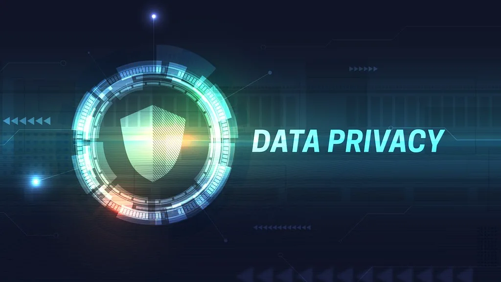 Ilustração com escudo e a expressão Data Privacy