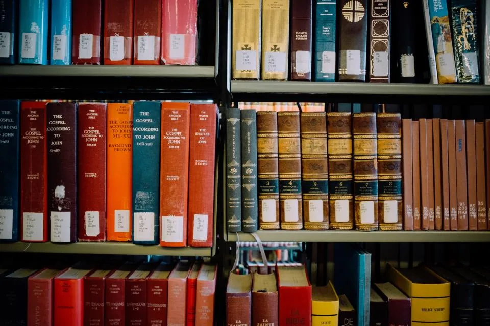 Estante de biblioteca com livros de referência enfileirados